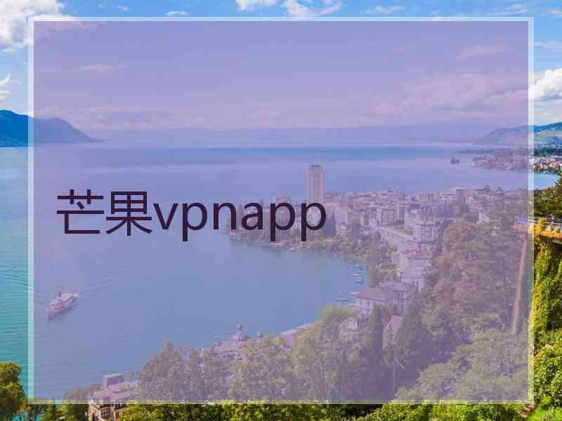 芒果vpnapp