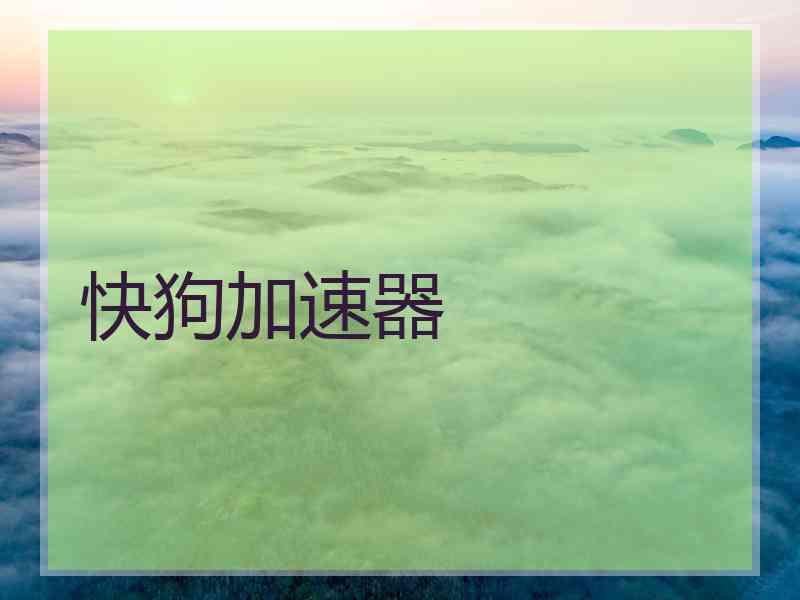 快狗加速器