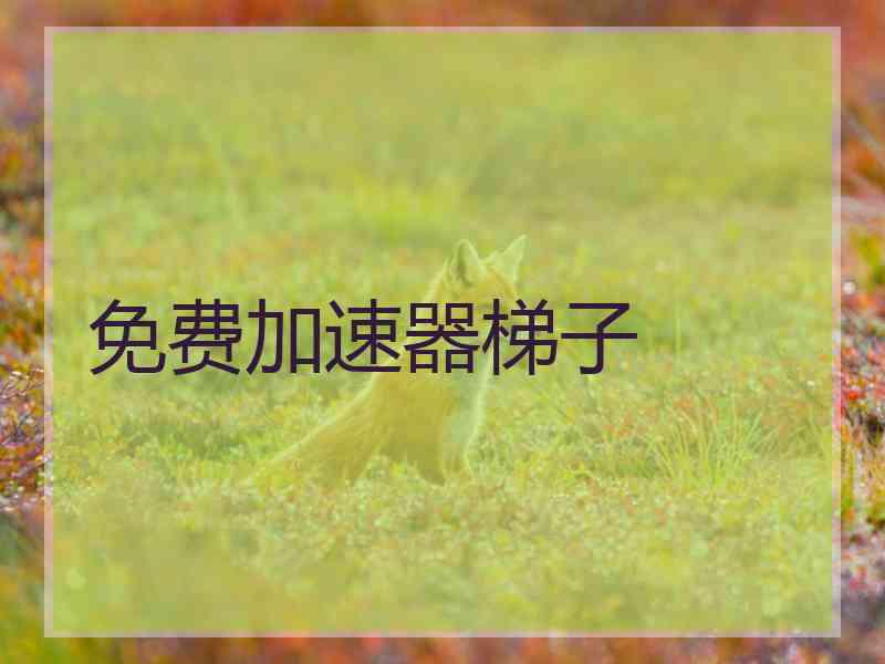 免费加速器梯子