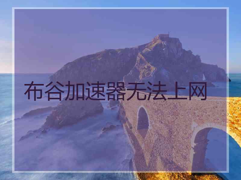 布谷加速器无法上网