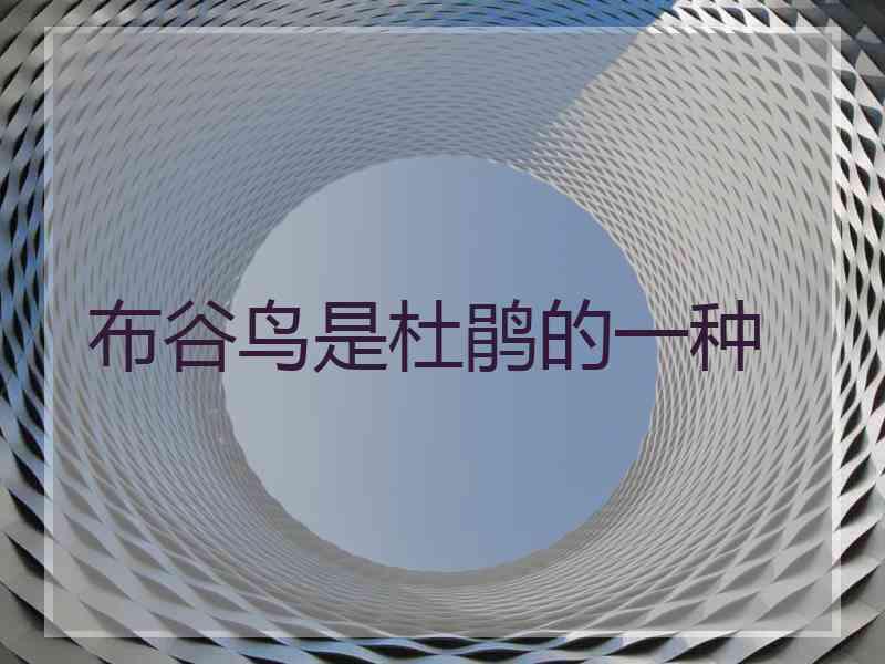 布谷鸟是杜鹃的一种