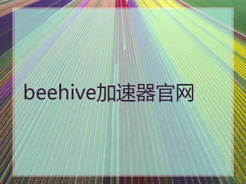 beehive加速器官网