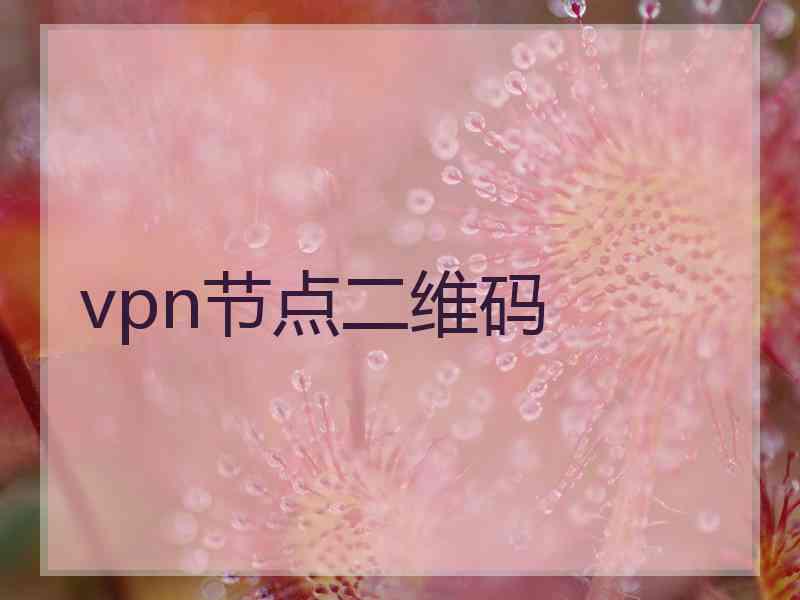 vpn节点二维码