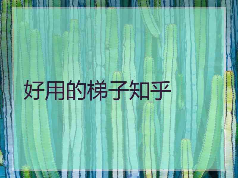 好用的梯子知乎