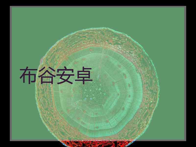 布谷安卓