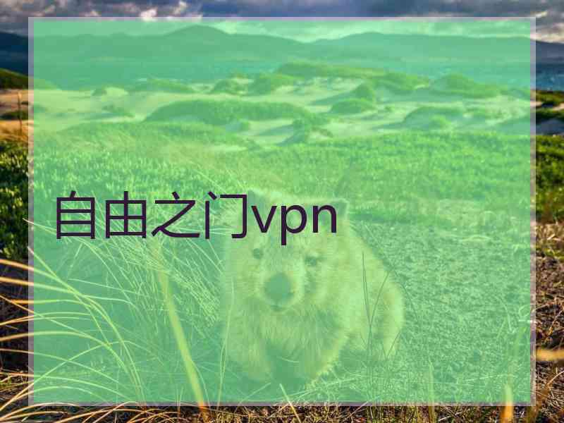 自由之门vpn