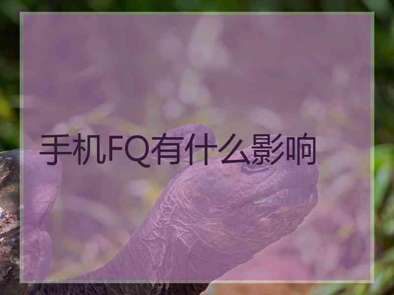 手机FQ有什么影响