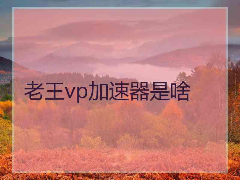 老王vp加速器是啥