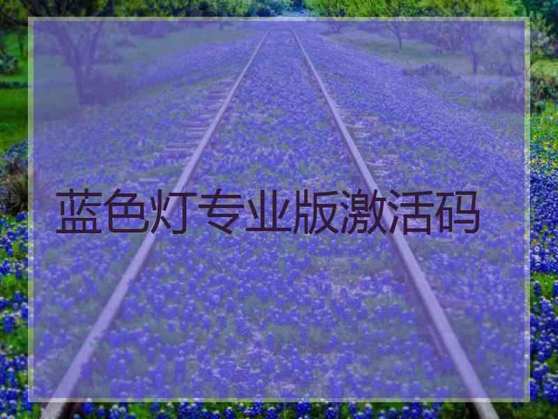 蓝色灯专业版激活码