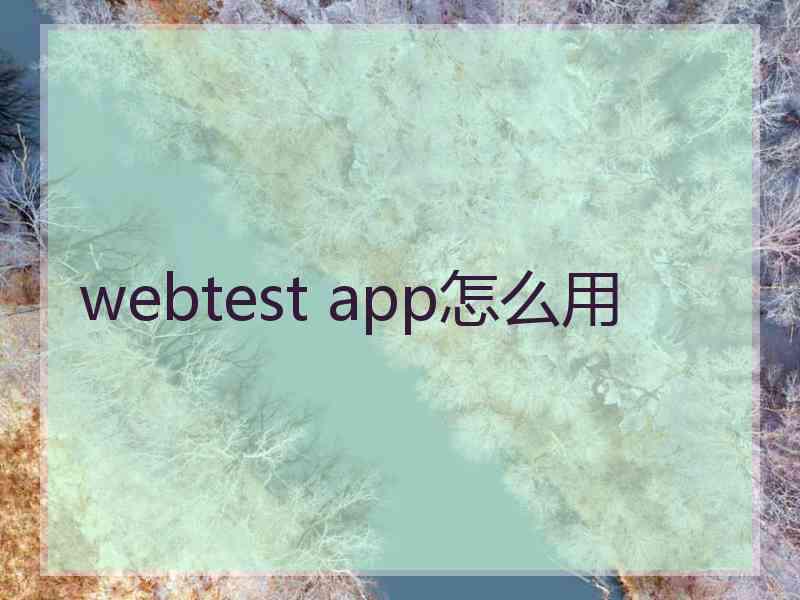 webtest app怎么用