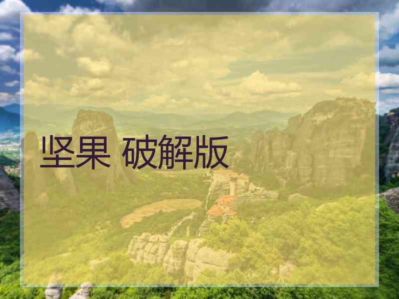坚果 破解版