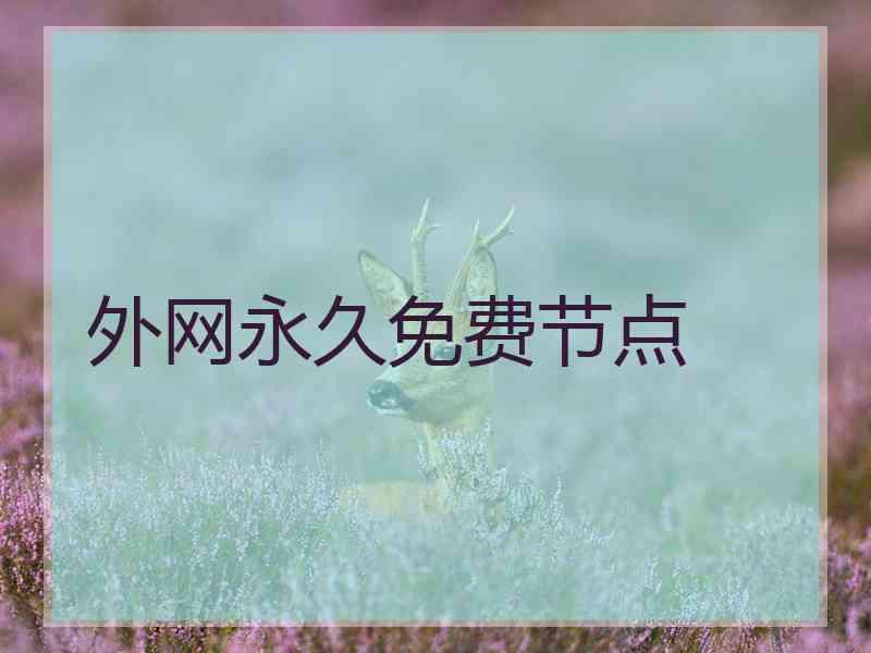 外网永久免费节点