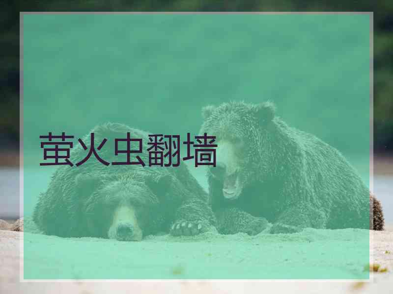 萤火虫翻墙
