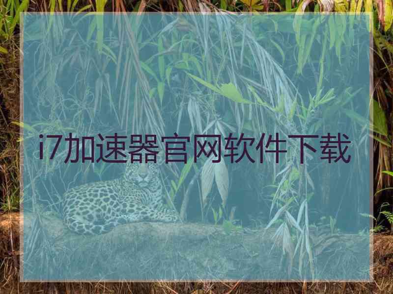 i7加速器官网软件下载