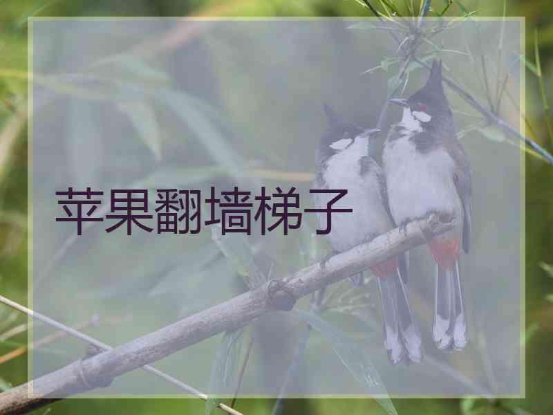 苹果翻墙梯子