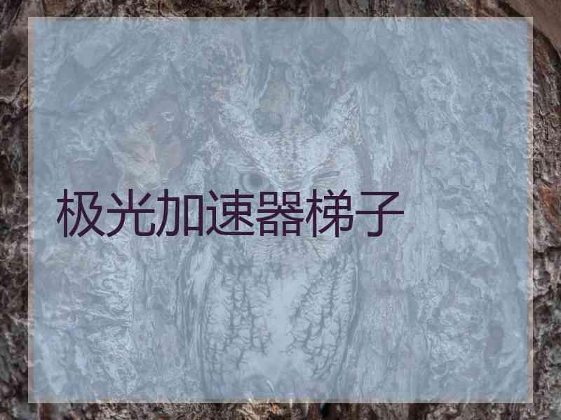 极光加速器梯子