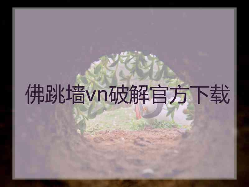 佛跳墙vn破解官方下载