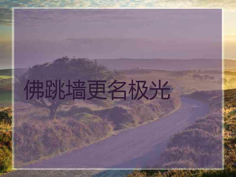 佛跳墙更名极光