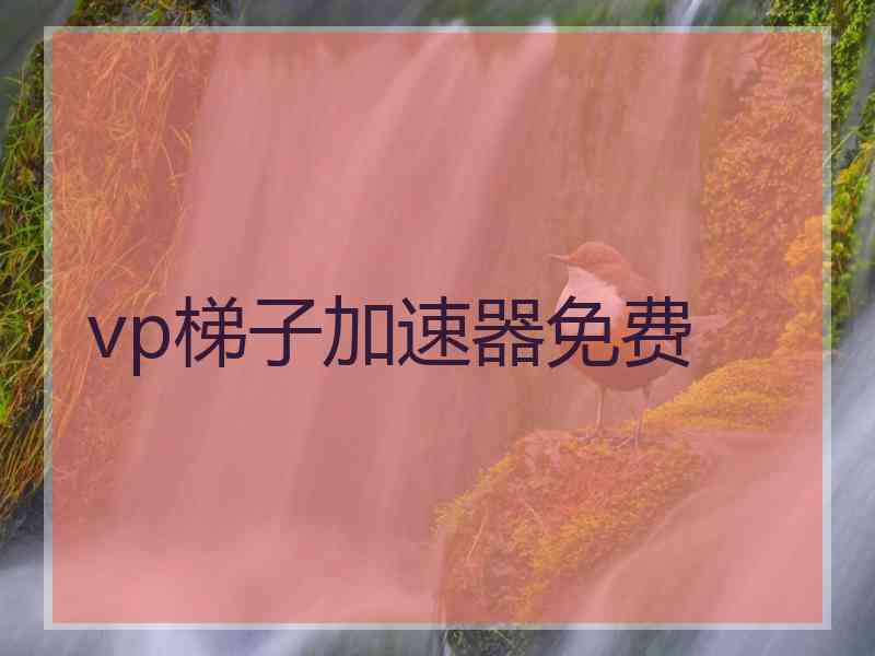 vp梯子加速器免费