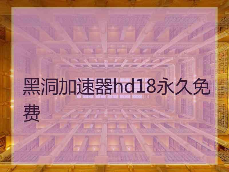 黑洞加速器hd18永久免费