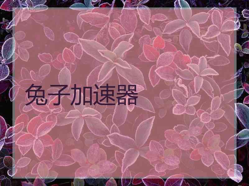 兔子加速器