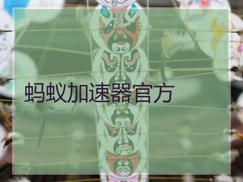 蚂蚁加速器官方