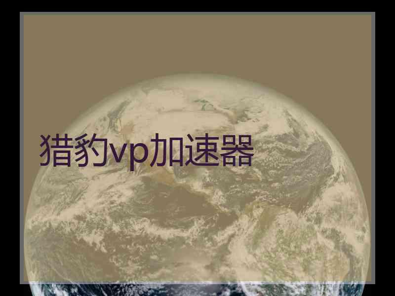 猎豹vp加速器