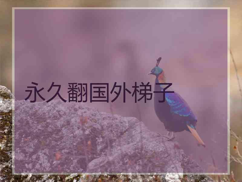 永久翻国外梯子