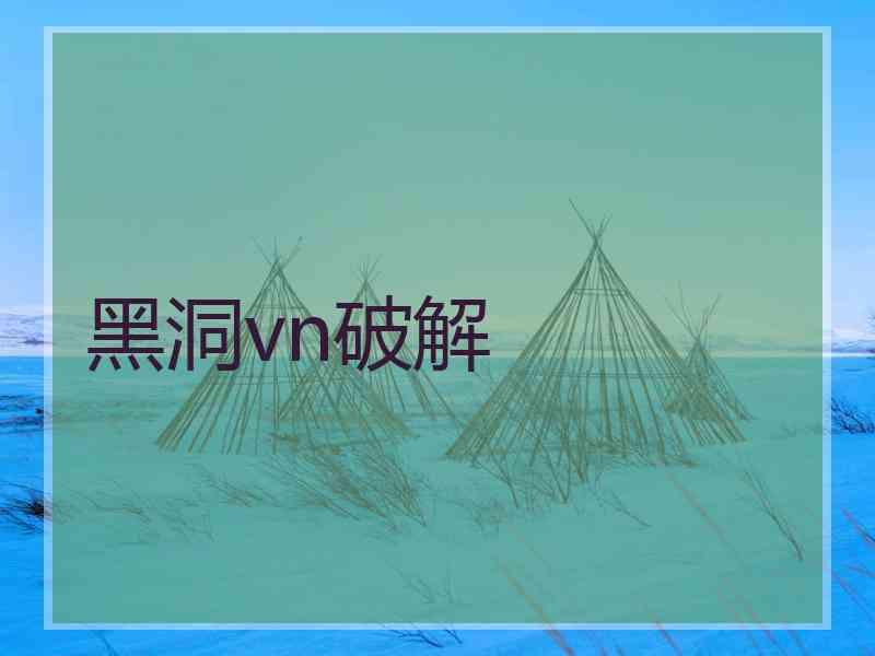 黑洞vn破解