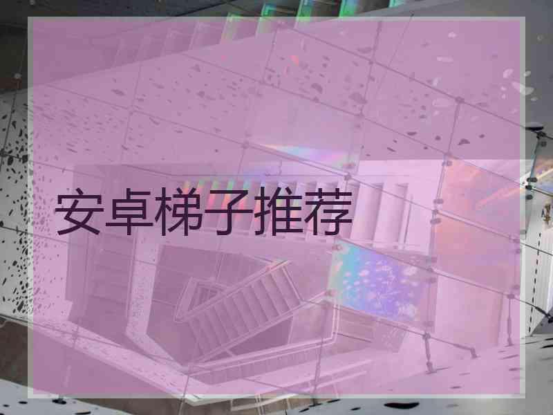 安卓梯子推荐