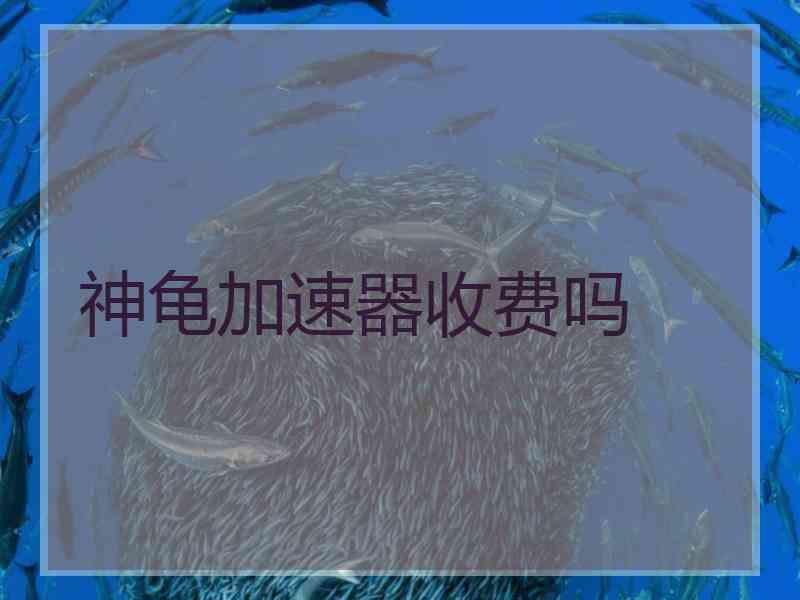 神龟加速器收费吗