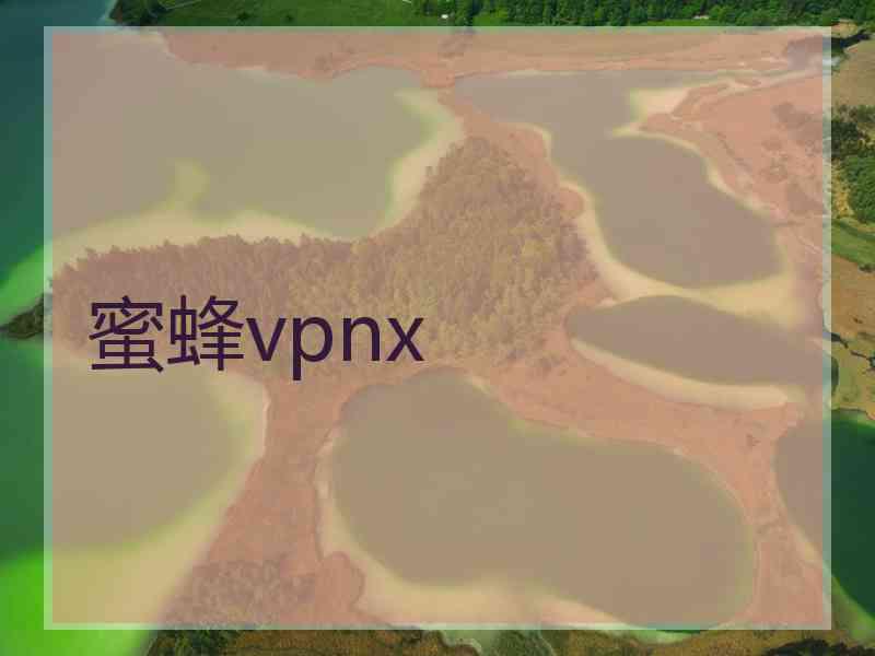 蜜蜂vpnx