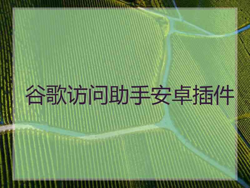 谷歌访问助手安卓插件