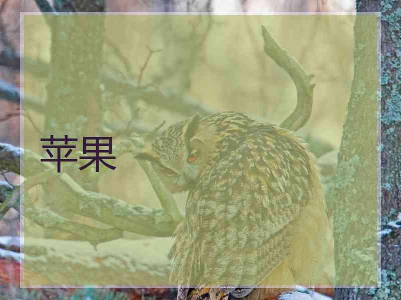苹果