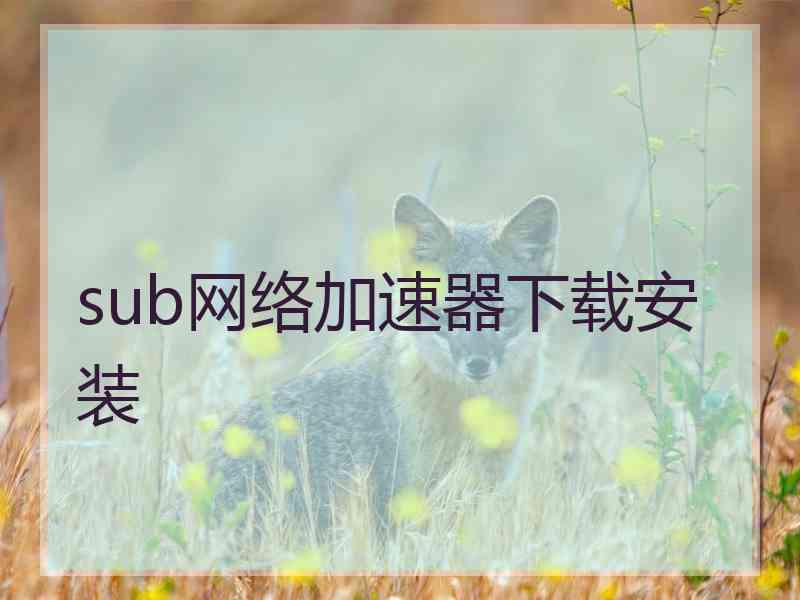 sub网络加速器下载安装