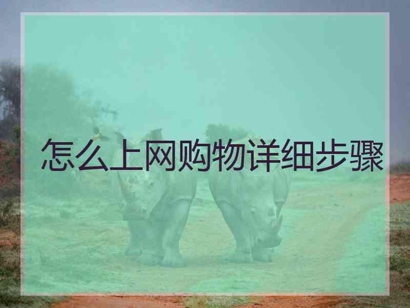 怎么上网购物详细步骤