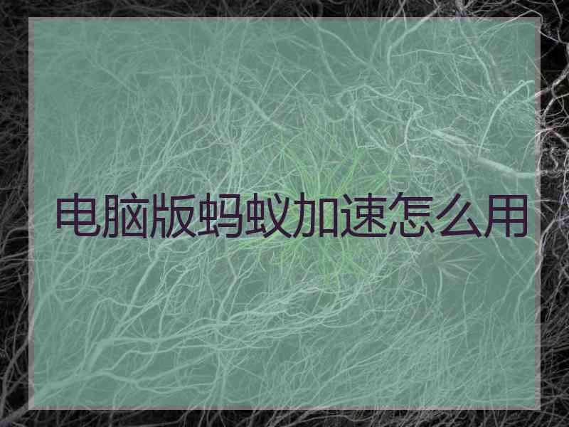 电脑版蚂蚁加速怎么用
