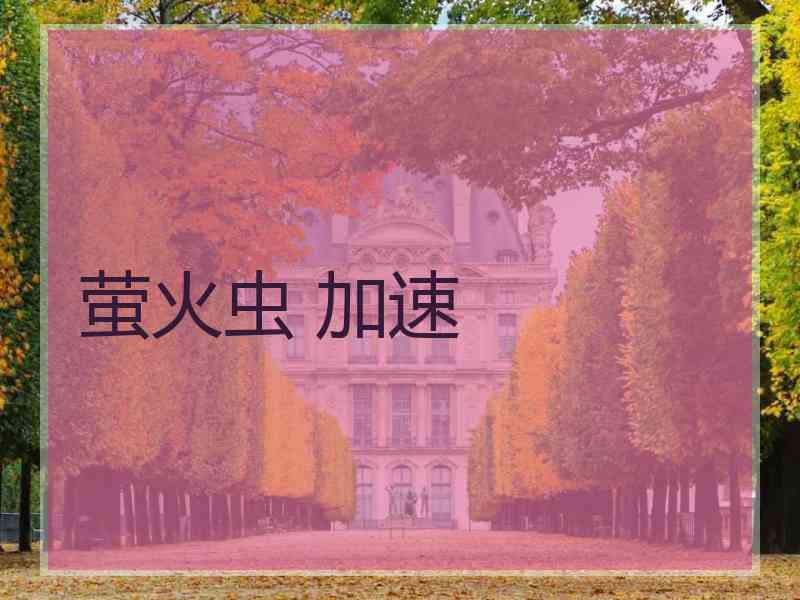 萤火虫 加速