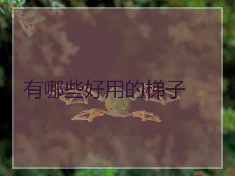 有哪些好用的梯子