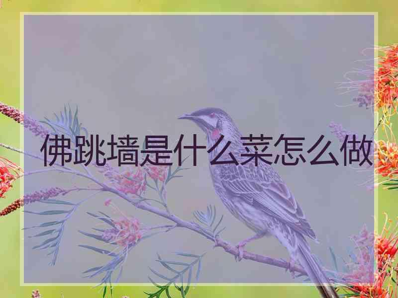 佛跳墙是什么菜怎么做