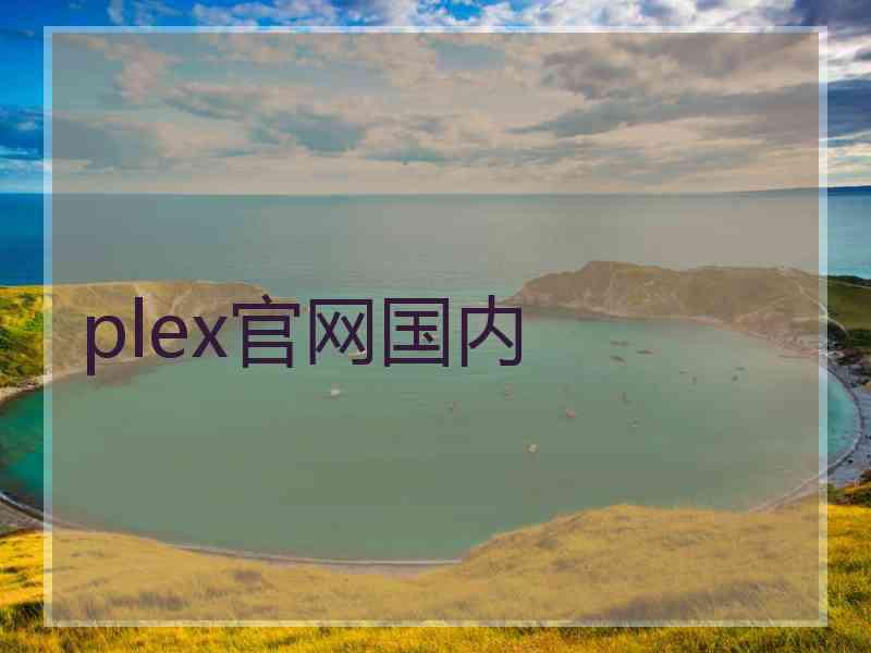 plex官网国内
