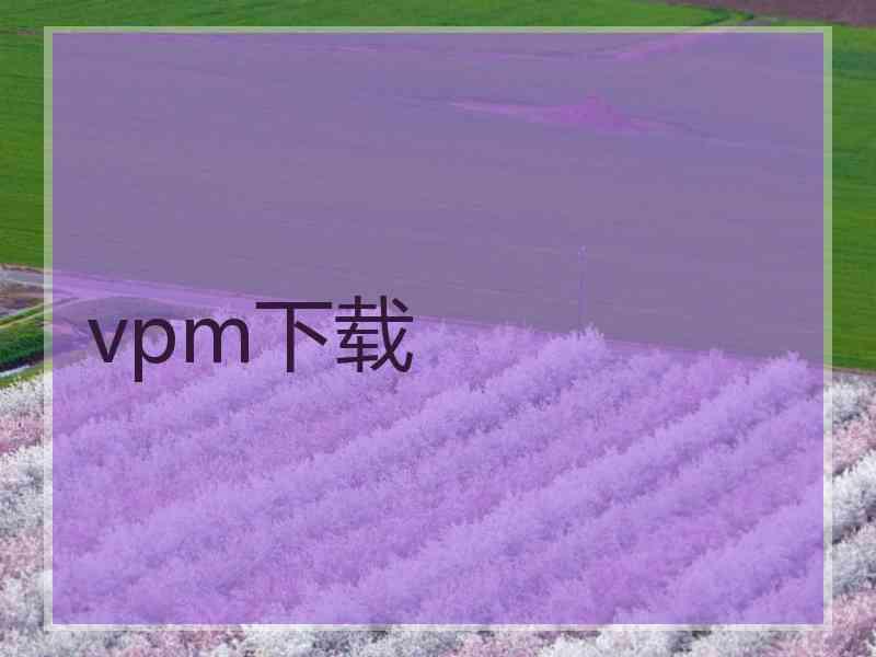 vpm下载