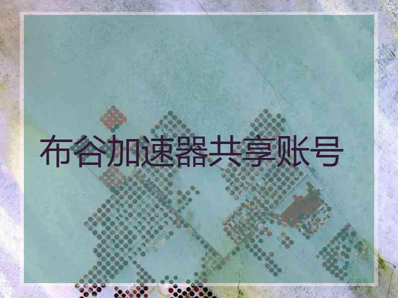布谷加速器共享账号