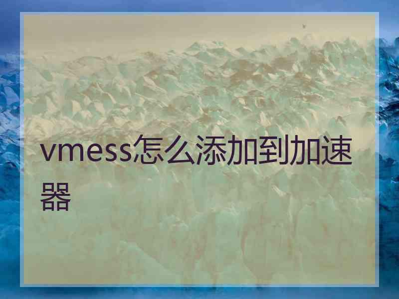 vmess怎么添加到加速器