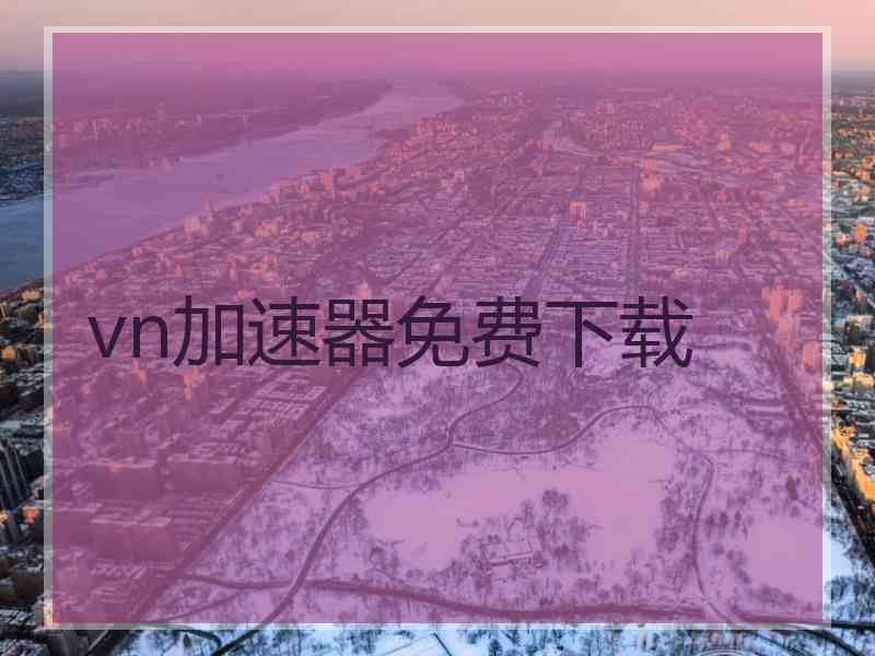 vn加速器免费下载