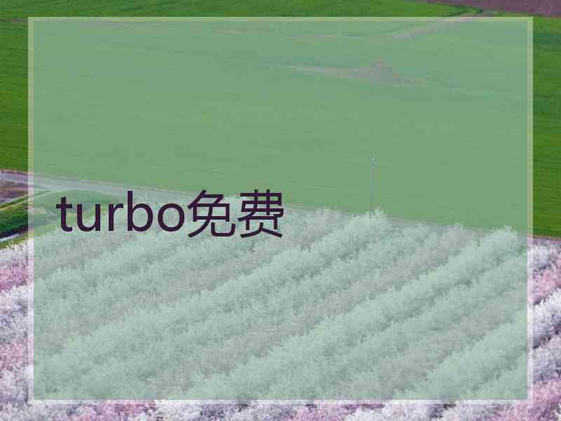 turbo免费