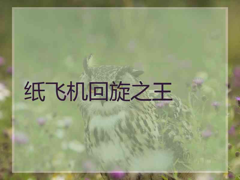 纸飞机回旋之王