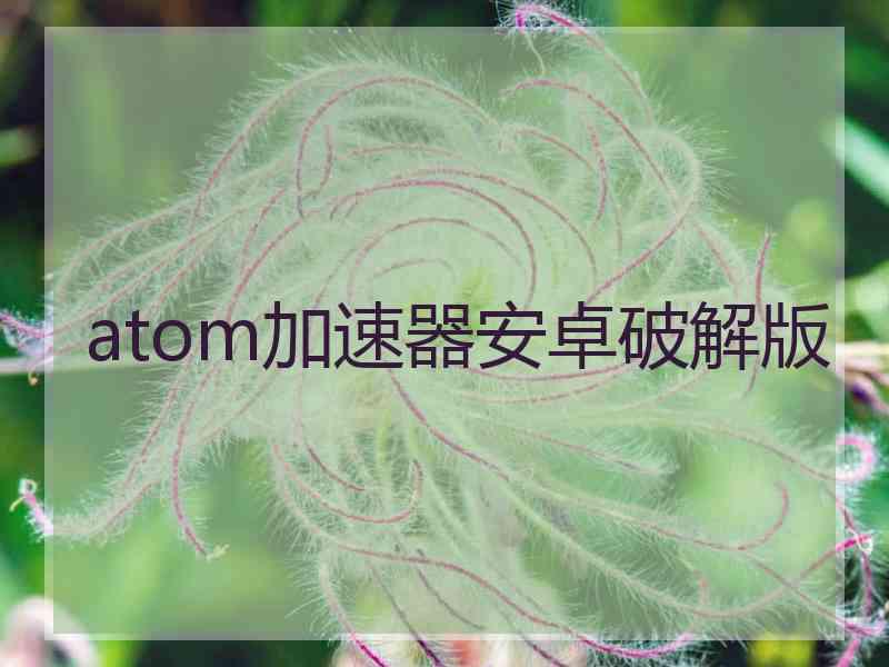atom加速器安卓破解版