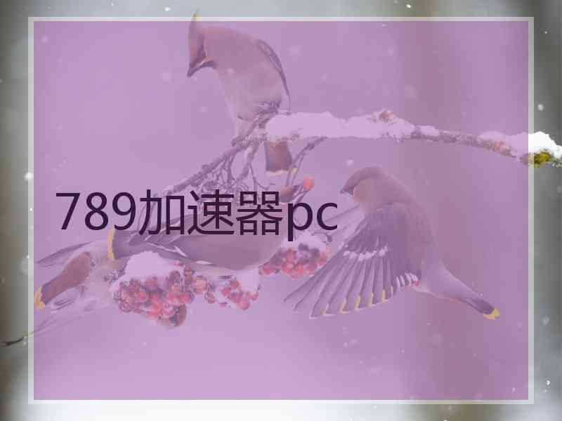 789加速器pc