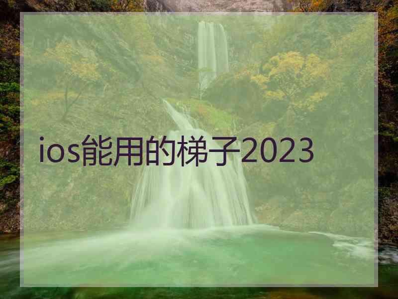 ios能用的梯子2023